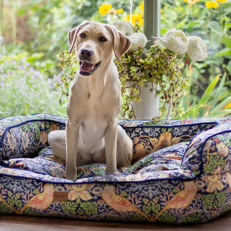 William Morris Strawberry Thief Print Pet Sofa - Dark Blue-5