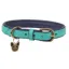 Digby and Fox Padded Leather Dog Collar - Aqua