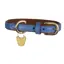 Digby and Fox Padded Leather Dog Collar - Royal