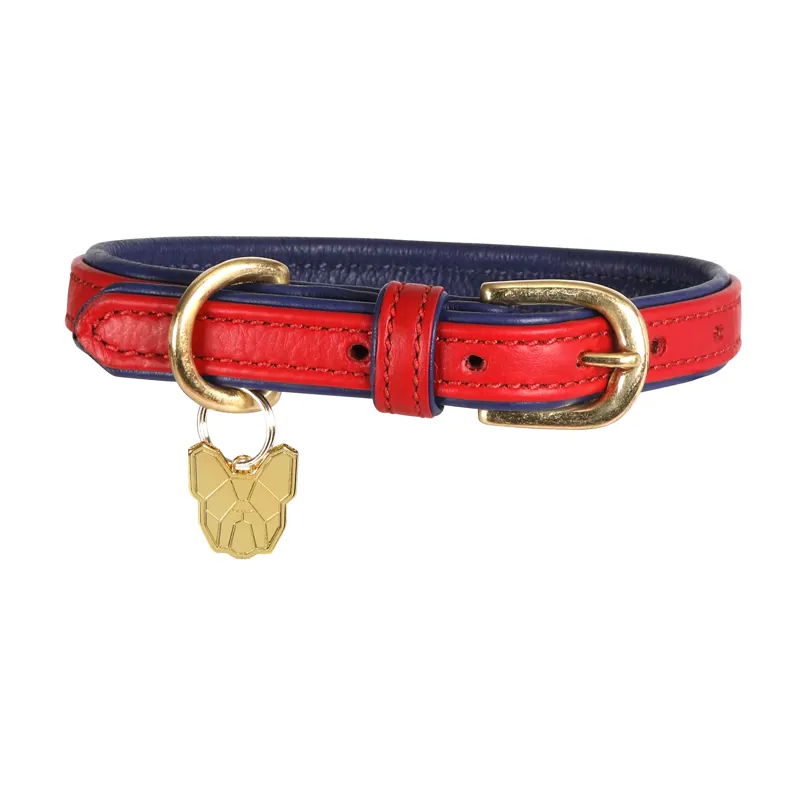 Digby and Fox Padded Leather Dog Collar - Scarlett