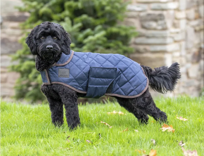 Digby and Fox Heritage Dog Coat - Indigo-1