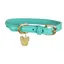 Digby and Fox Rolled Leather Dog Collar - Teal