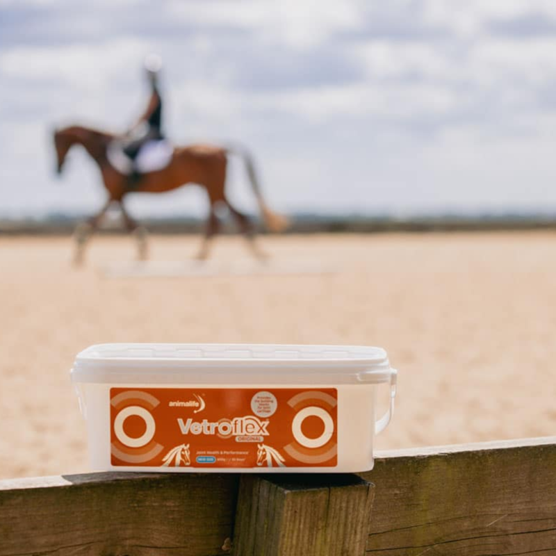Animalife Vetroflex Original-4