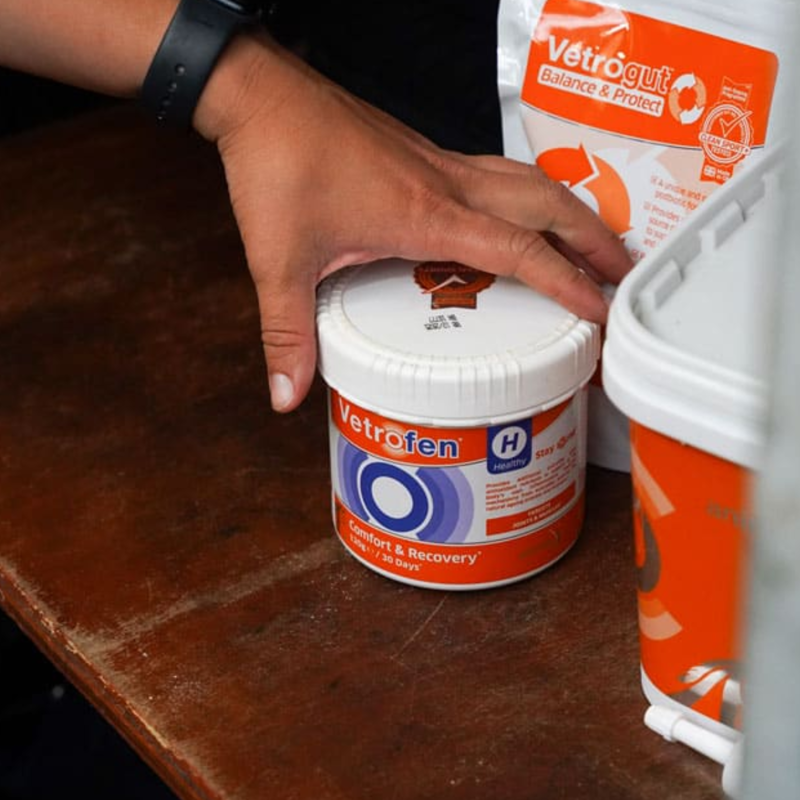 Animalife Vetrofen Healthy-4