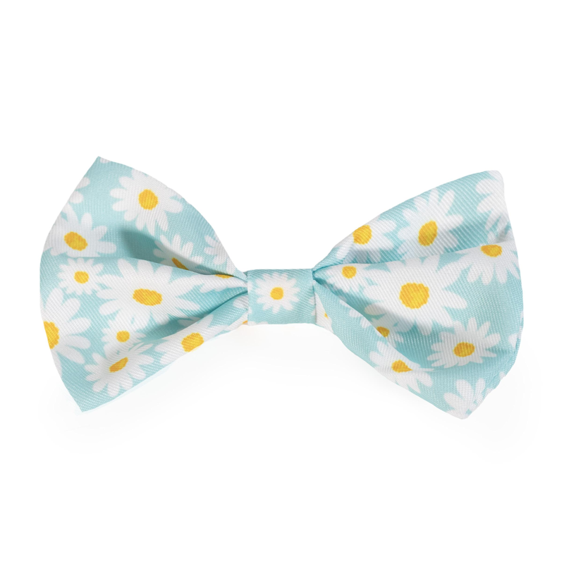Rosewood Easter Bow Tie-1