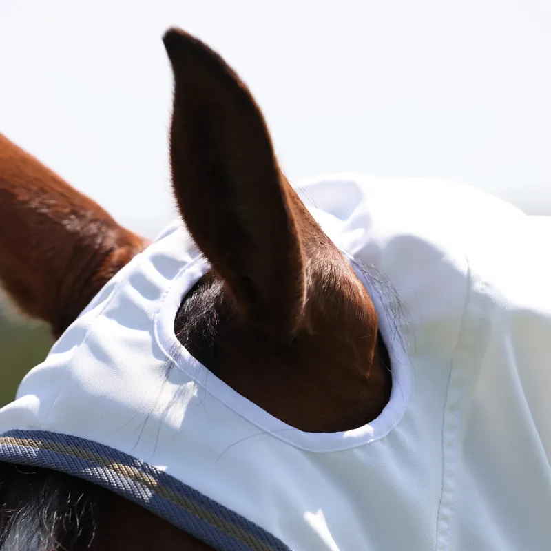 Highlander Plus Sweet-itch Combo Rug - White/Air Force-3