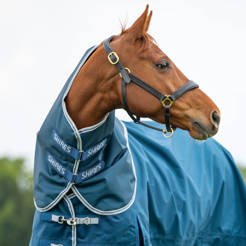 Highlander Original 50 Turnout Rug Neck Cover - Ocean