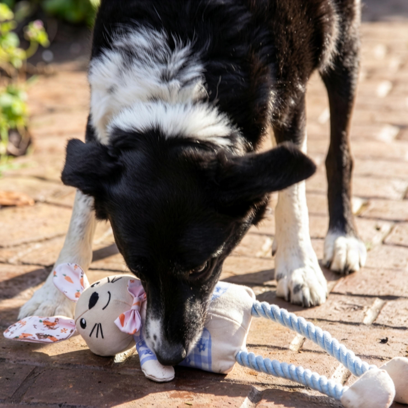 Rosewood Easter Ralphie Rabbit Dog Toy-4