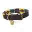 Digby and Fox Drover Polo Dog Collar - Yellow/Dark Green/Purple