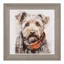 Art Marketing Teddy Print