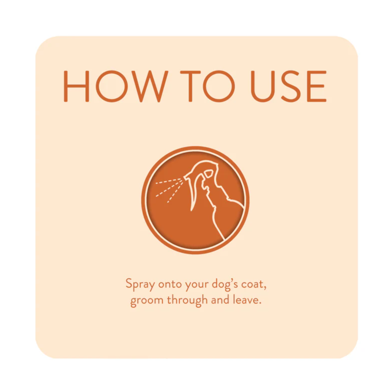 Animology Dirty Dawg No Rinse Shampoo - 250ml-1