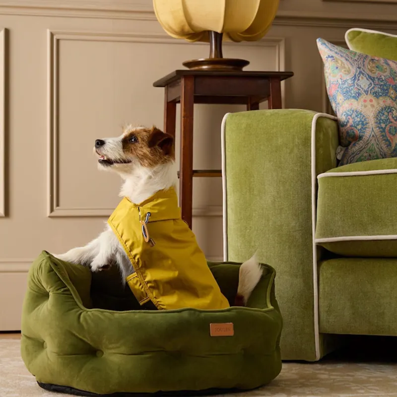 Joules Gold Dog Jacket-3