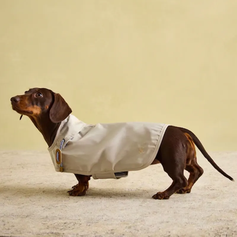 Joules Beige Dog Jacket-4