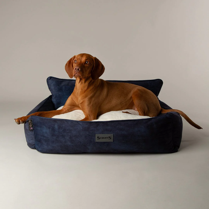 Scruffs Kensington Box Bed - Navy-2