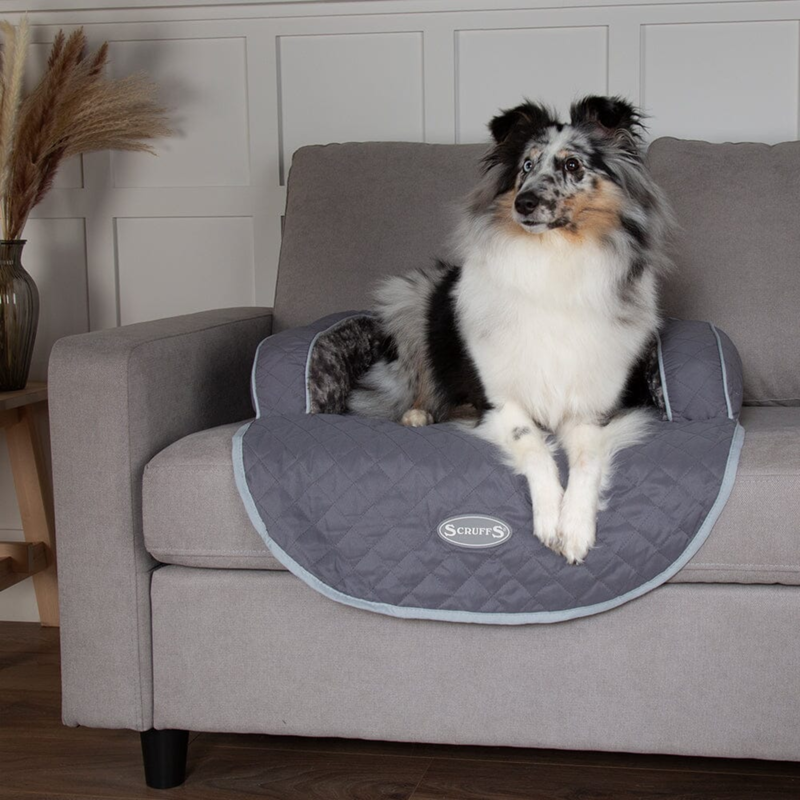 Scruffs Wilton Sofa Bed - Grey-4