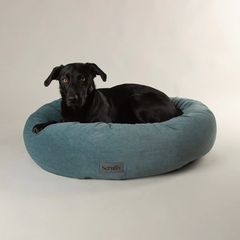 Scruffs Oslo Ring Bed - Lake Teal-1