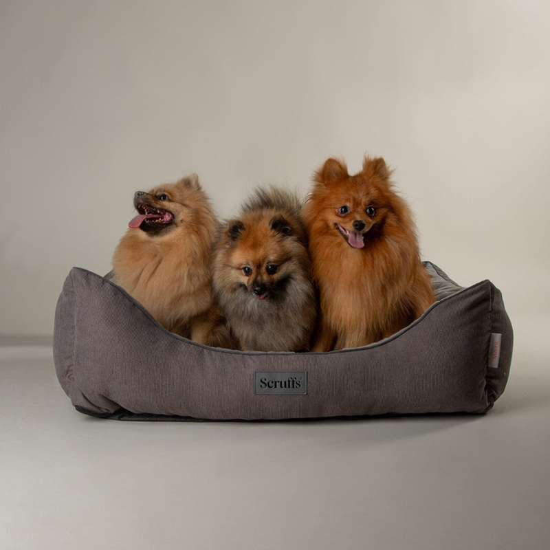 Scruffs Thermal Box Bed - Grey-2