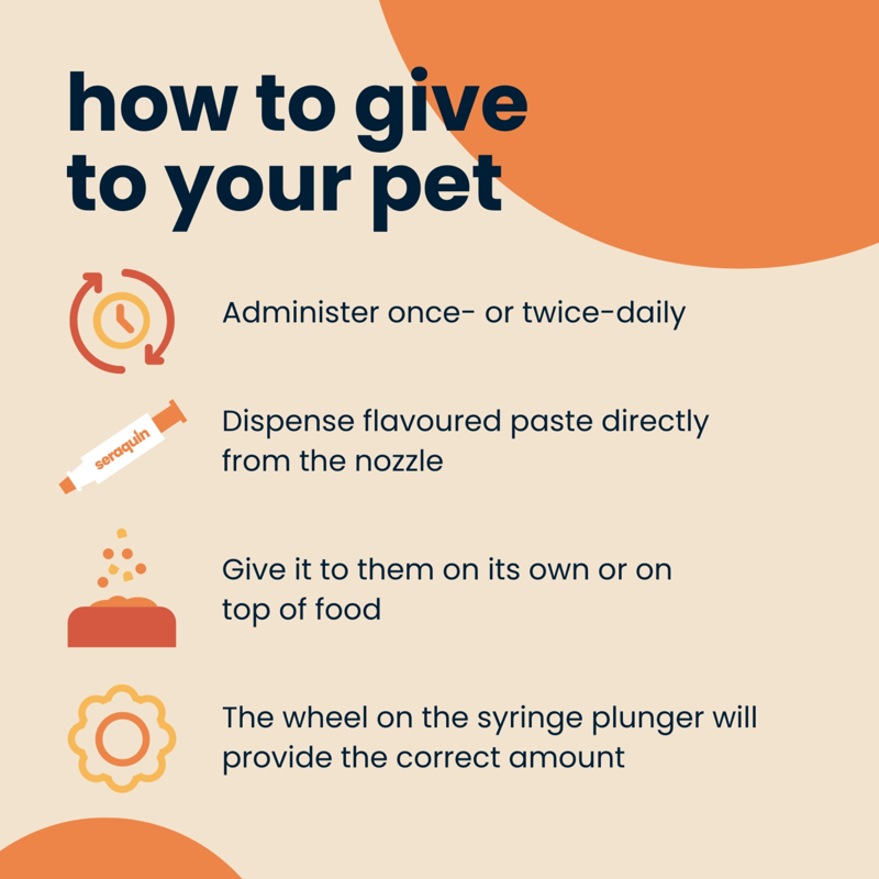 Boehringer-Ingelheim Seraquin Digest For Cats and Dogs - 30ml Syringe-2