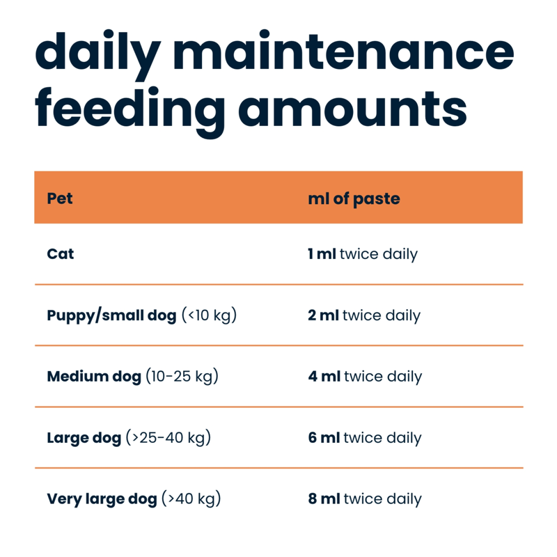 Boehringer-Ingelheim Seraquin Digest For Cats and Dogs - 30ml Syringe-3