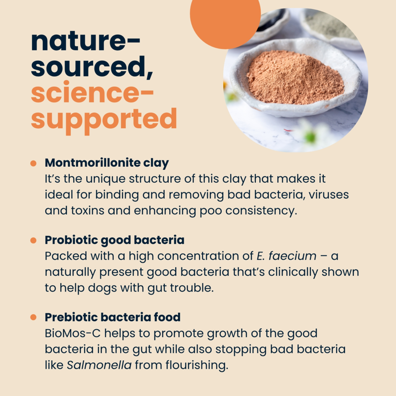 Boehringer-Ingelheim Seraquin Digest For Cats and Dogs - 30ml Syringe-4