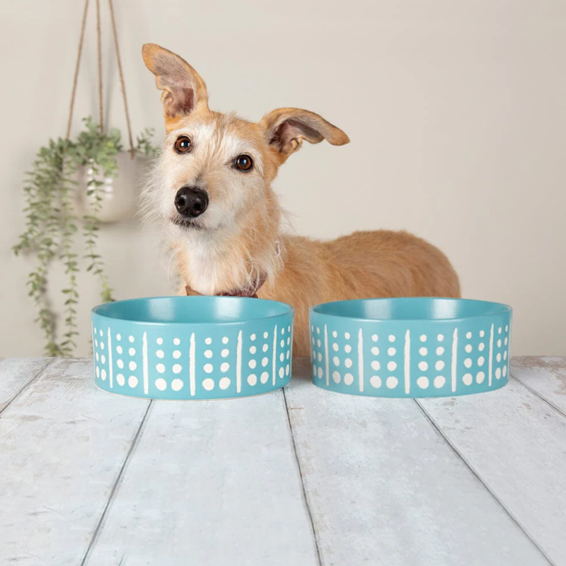 Scruffs Aztec Food Bowl - Turquoise-1