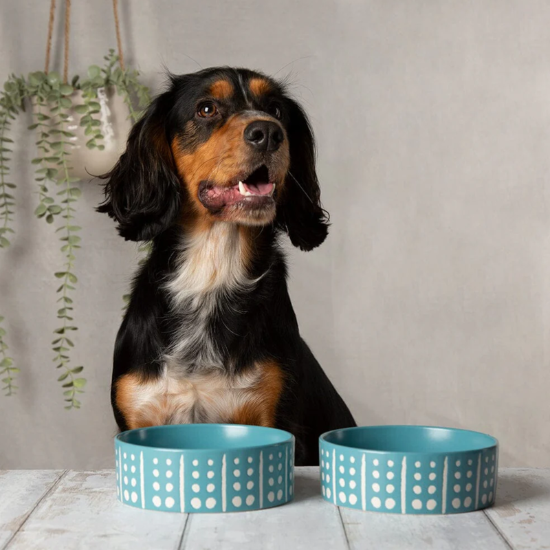 Scruffs Aztec Food Bowl - Turquoise-3