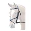 Bridleway Lavello Grackle Bridle - Black