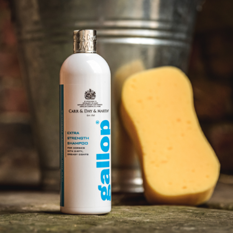 Carr Day Martin Gallop Extra Strength Shampoo - 500ml-1