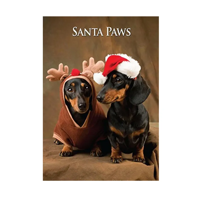 Miniature Dachshunds Dog Christmas Card