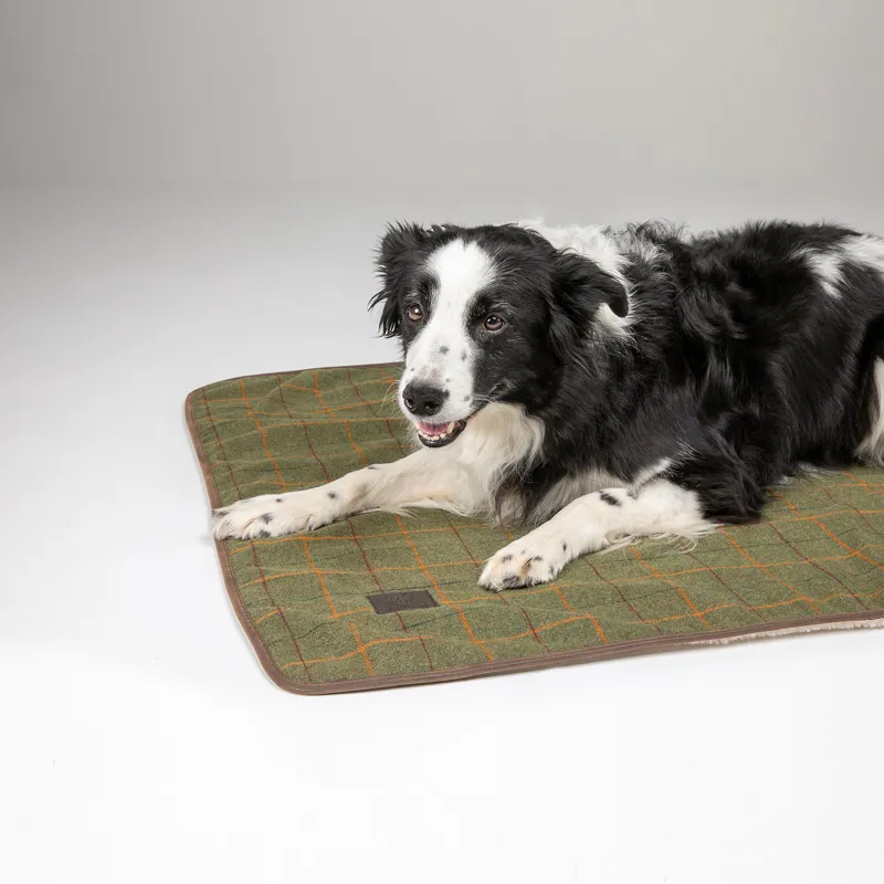 Digby and Fox Tweed Dog Blanket - Green-1