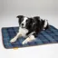 Digby and Fox Tweed Dog Blanket - Navy