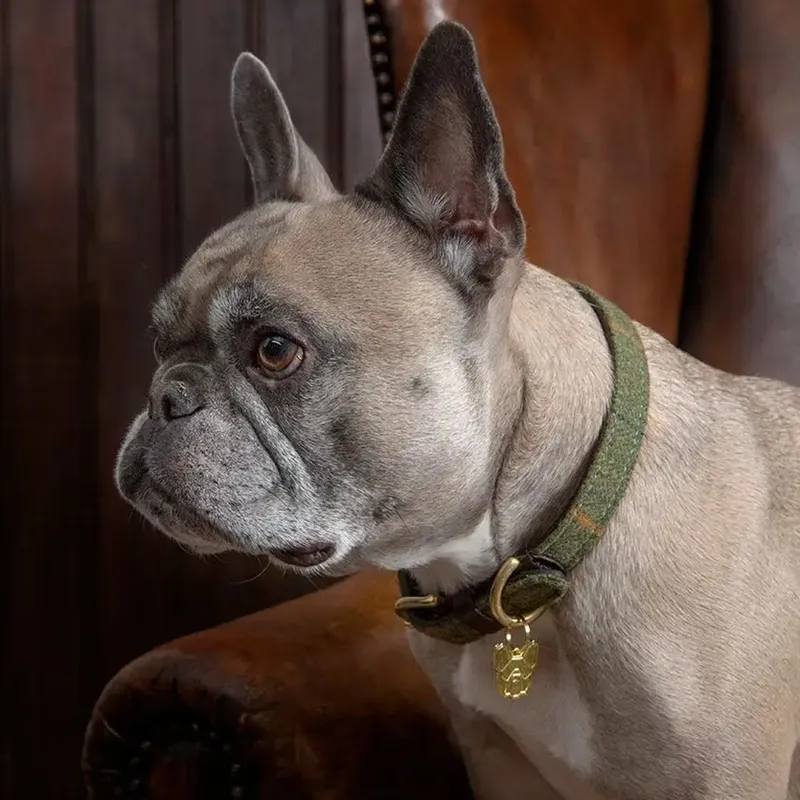 Digby and Fox Tweed Dog Collar - Green-1