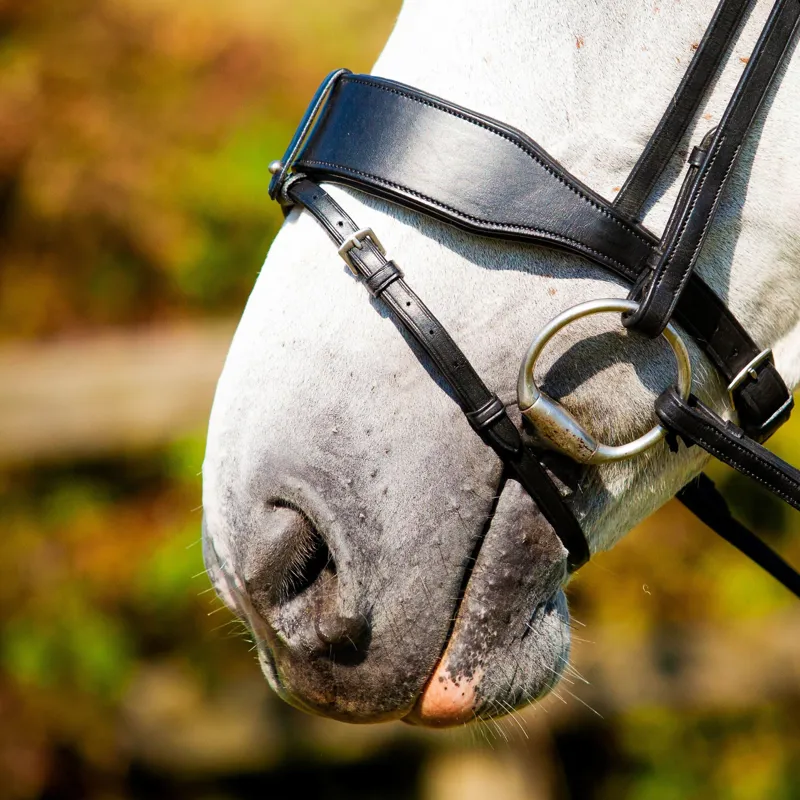 EcoRider Perfect Fit Flash Strap - Brown-1