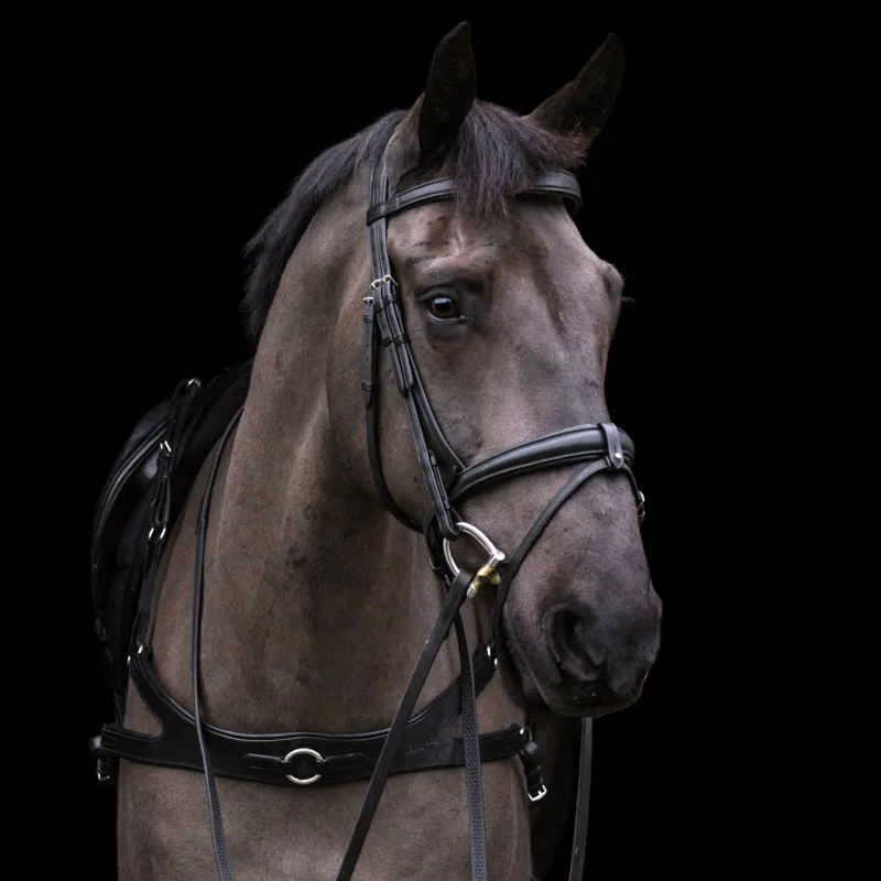 EcoRider Perfect Fit Flash Strap - Black-3