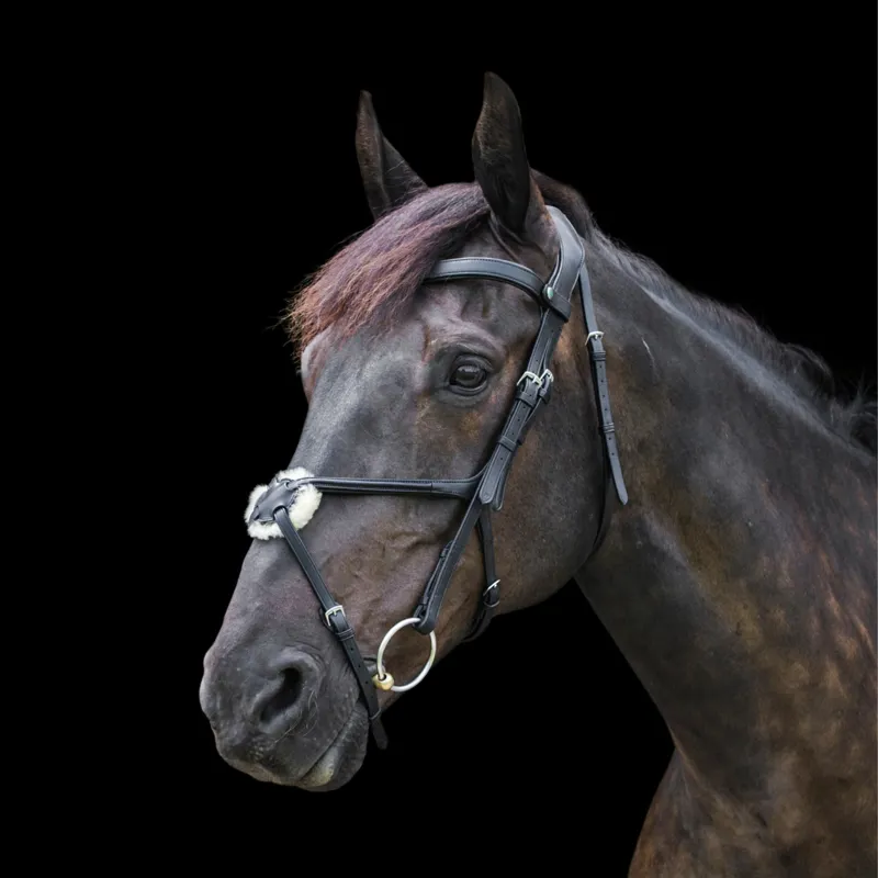 EcoRider Comfort Grackle Noseband - Black-1