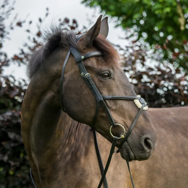 EcoRider Comfort Grackle Noseband - Brown-1