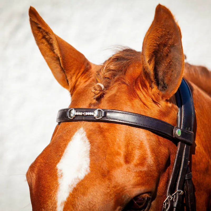 EcoRider Snaffle Browband - Brown-1