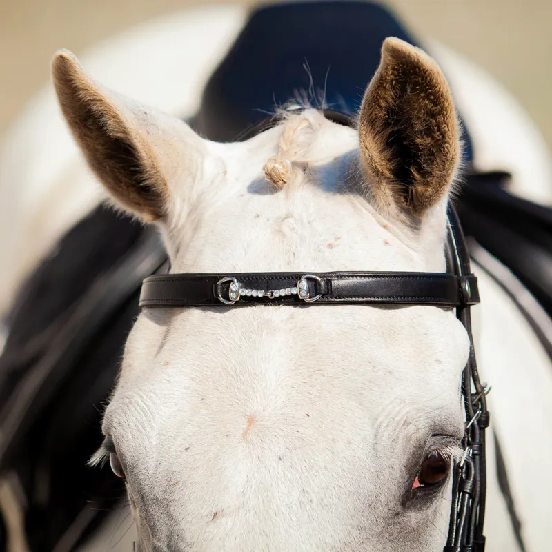 EcoRider Snaffle Browband - Black-1