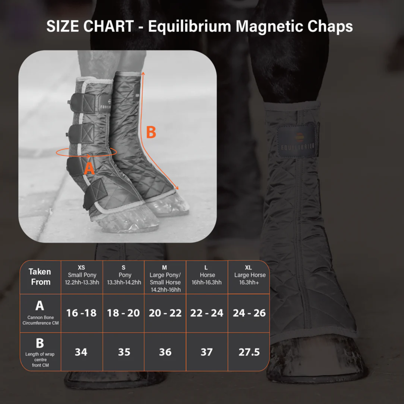 Equilibrium Magnetic Chaps-4