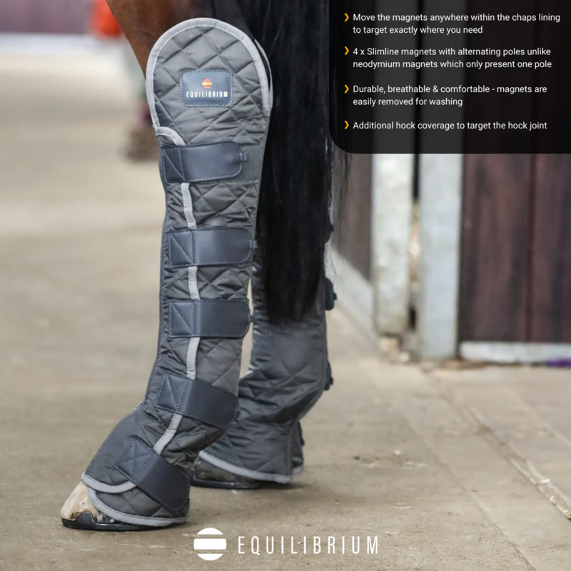Equilibrium Magnetic Hind and Hock Chaps - Grey-4