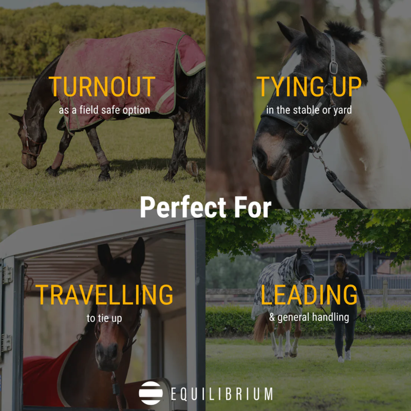 Equilibrium Stellar All Weather Headcollar - Brown-3