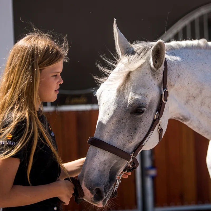 Equilibrium Stellar All Weather Headcollar - Brown-1