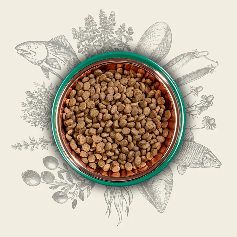 Eden Pet Foods 80/20 Fish Cuisine-1