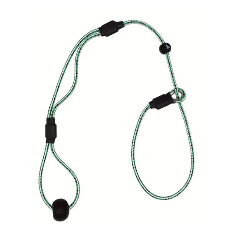 Sporting Saint Field Trial PRO Junior Lead - Green