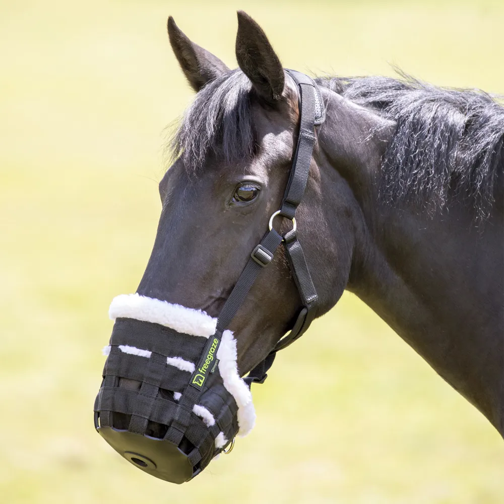 FreeGraze Shires Deluxe Comfort Grazing Muzzle
