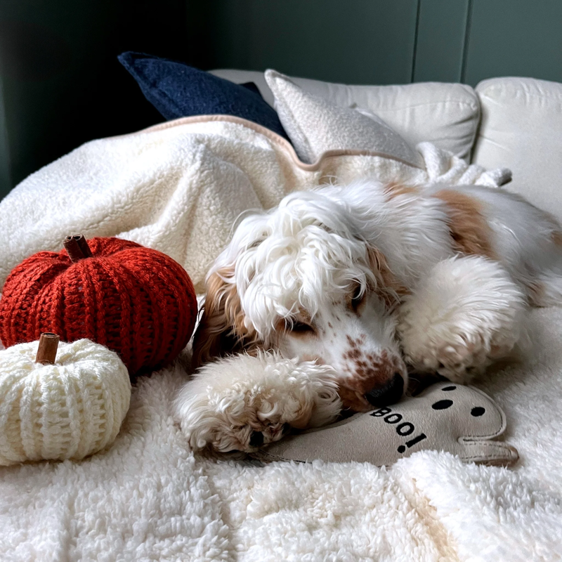 Green and Wilds Boo Hoo Ghost Eco Dog Toy-3