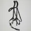 Premier Equine Glorioso Grackle Bridle - Black