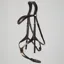 Premier Equine Glorioso Grackle Bridle - Brown