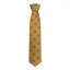 Hoggs of Fife Boxed 100 Silk Woven Pheasants Tie - Gold
