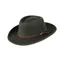 Hoggs of Fife Perth Crushable Felt Hat - Olive